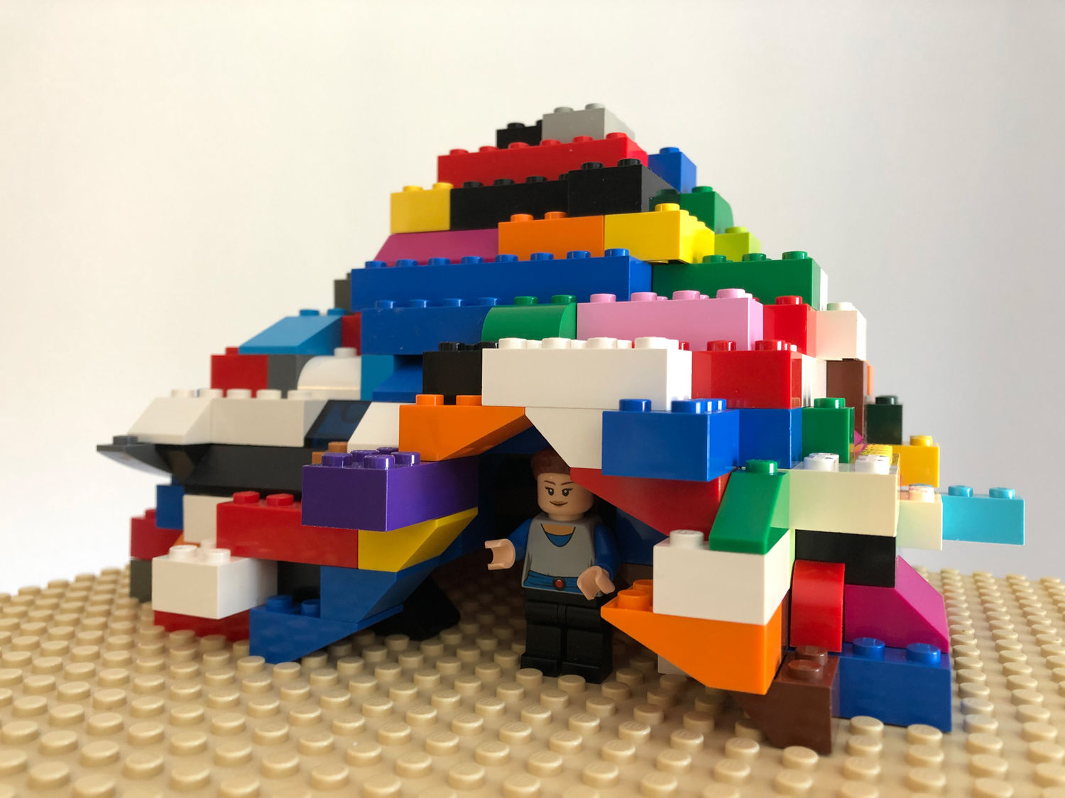 Ein bunter Unterschlupf aus Legosteinen. Foto: Privat