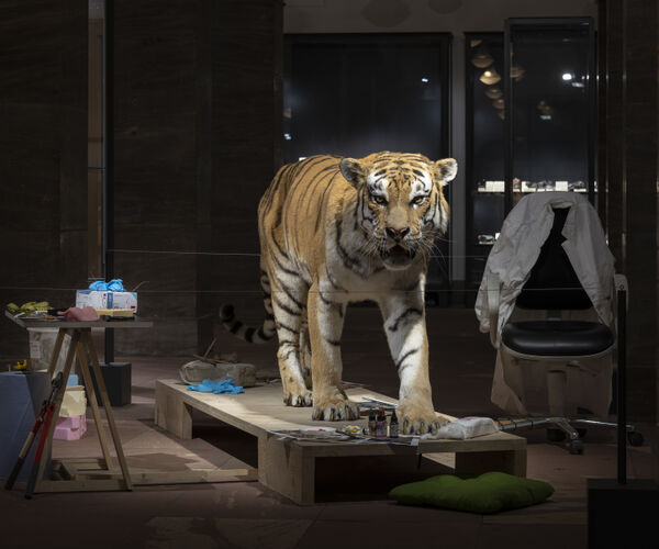 Bild zu Shir Khan der Tiger