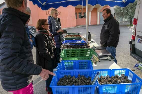 Auf Märkte in Südfrankreich bieten die Austernverkäufer auch die Purpurschnecken der Art Hexaplex trunculus als Delikatessen an.