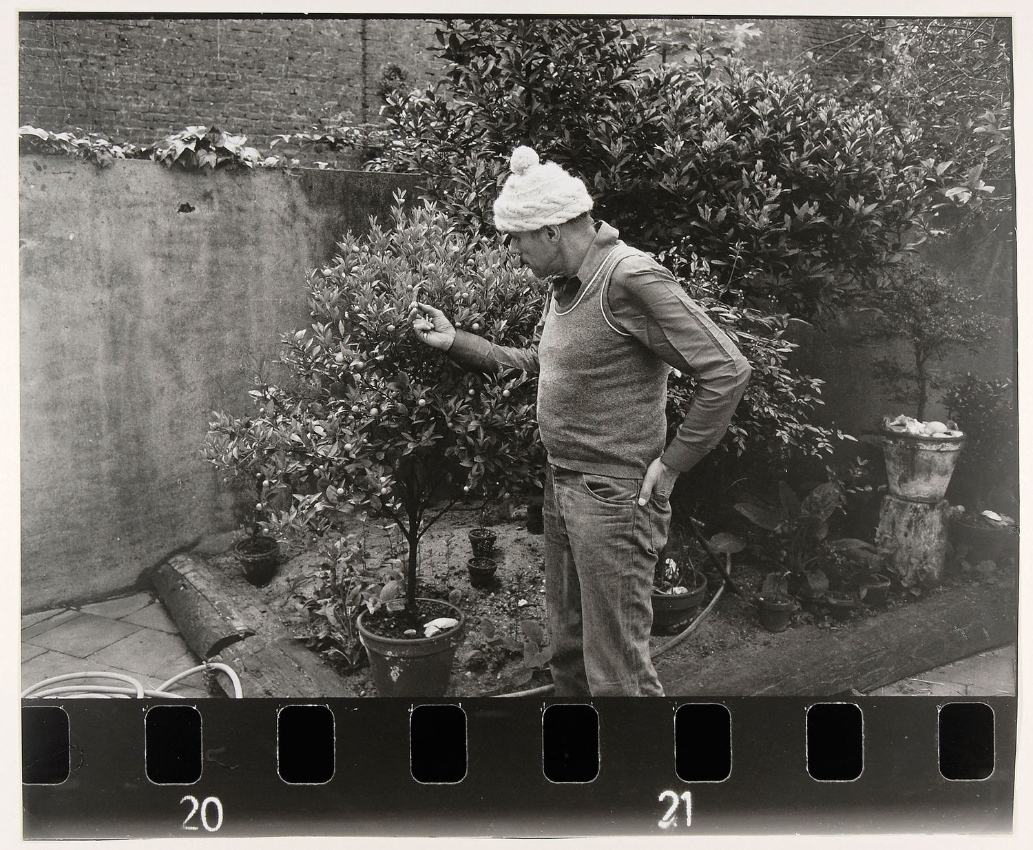 Beuys mit Zitronenbaum. Foto: Axel Hinrich Murken