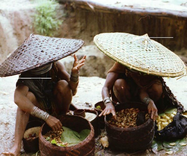Bild zu Die Vielfalt Indigener Kulturen in Südostasien