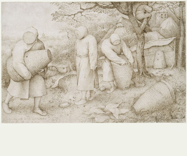 Bild zu Lass dich nicht erwischen Ketzer! Das Rätsel von Pieter Bruegels d. Ä. Imker-Zeichnung