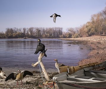 Bild zu Muscheln, Sand und Wellen  Nachbau des Rheinufers im Museum