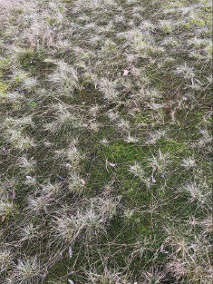 Seongbin Ma, Untitled (Bitterfeld-Wolfen), 2024 Lithographie, 297 mm x 420