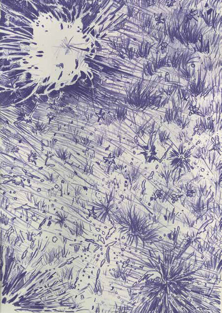 Seongbin Ma, Zeichnungen von Moosen