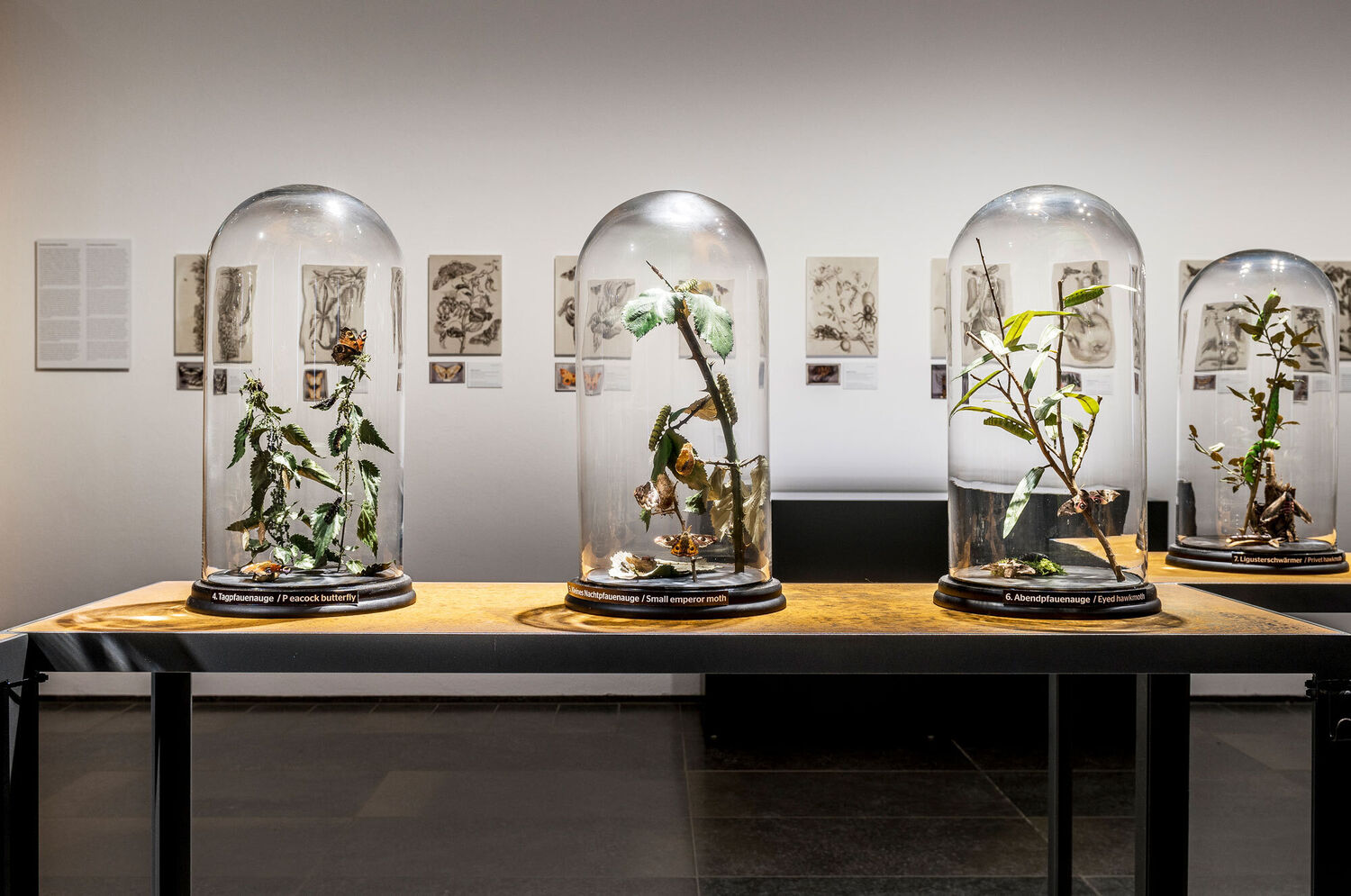 Blick in die Kabinettausstellung. Foto: Museum Wiesbaden / Bernd Fickert.