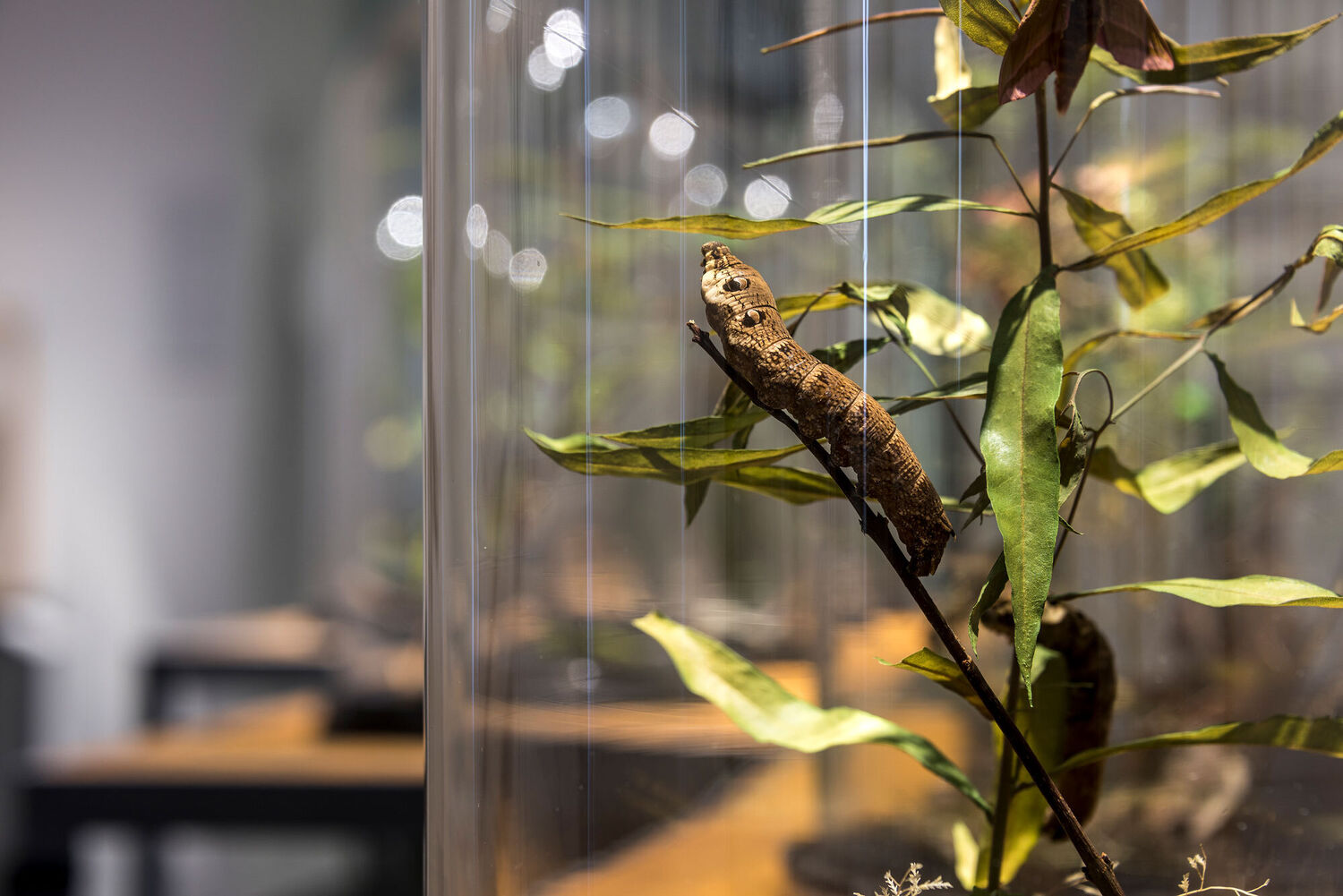 Blick in die Kabinettausstellung. Foto: Museum Wiesbaden / Bernd Fickert.