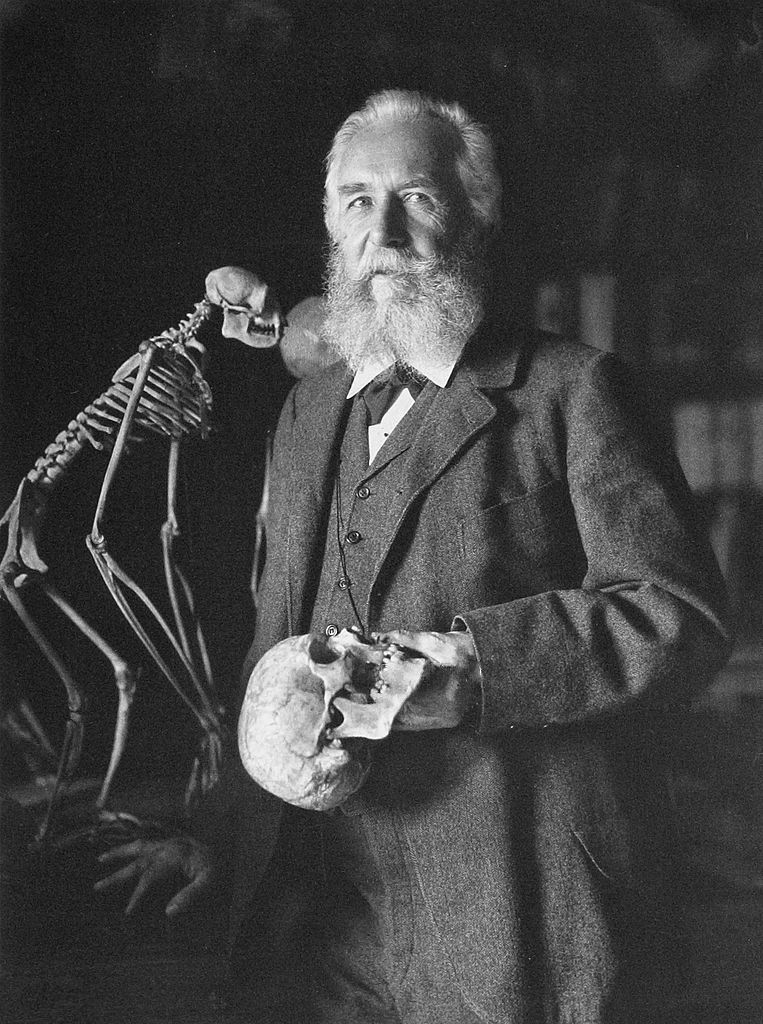 Portrait Ernst Haeckel, Photographische Gesellschaft, 1906