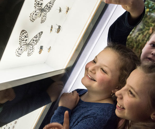 Bild zu Kreatives Zeichnen für Kinder