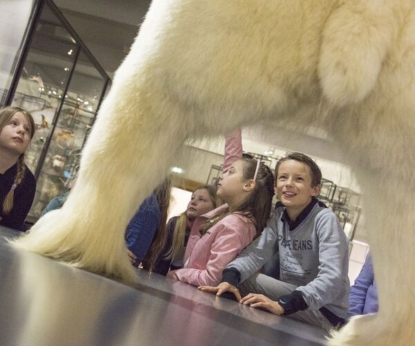 Bild zu Tierische Weltreise