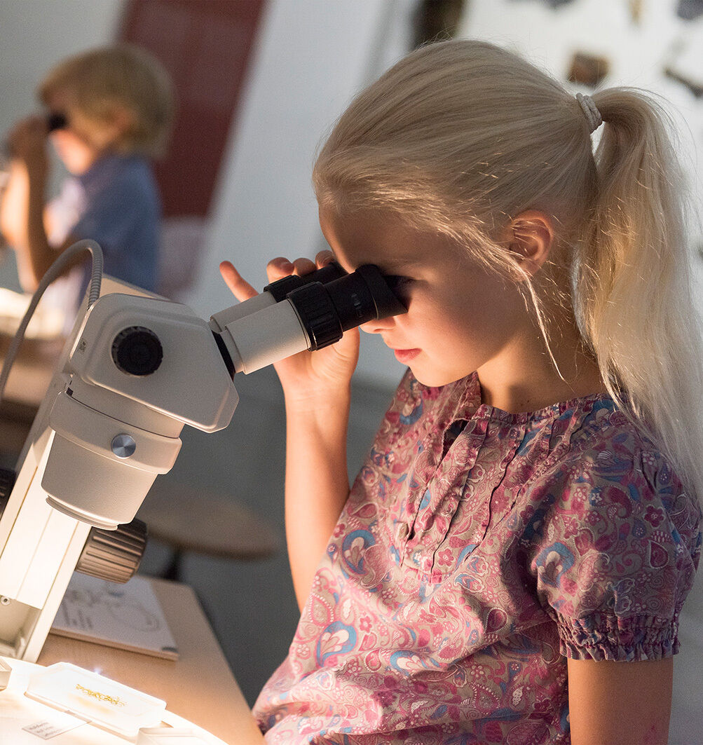 Microscopy in the exhibition © Museum Wiesbaden ⁄ Bernd Fickert