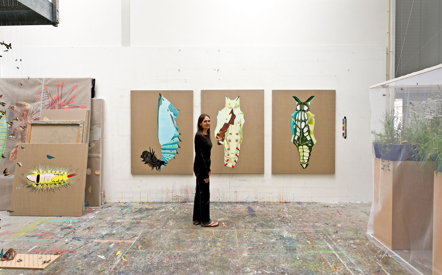 Studio of artist and Merian researcher Joos van de Plas on the occasion of her exhibition Second Life 2013 at the Museum Wiesbaden. Photo Ed Restle.