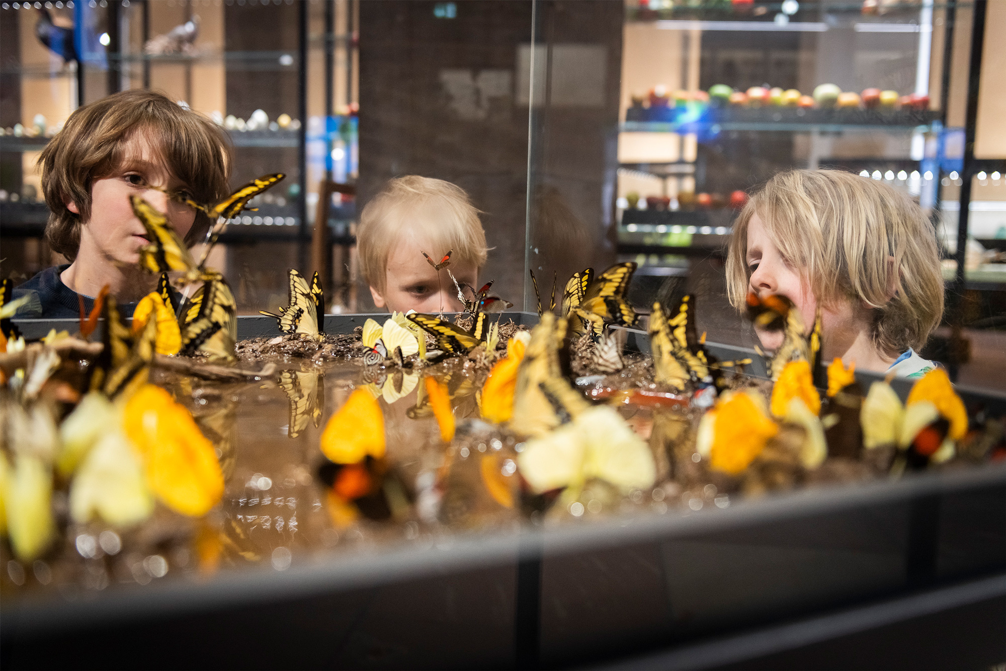 Wandel_Kinder_027-1.jpg