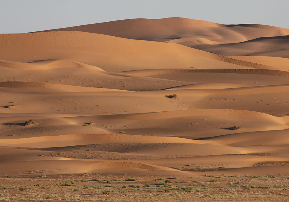 Sanddünen im 'Uruq bani Ma'arid Naturschutzgebiet im Westen der Rub al-Chali. Foto: Dr. Torsten Wronski